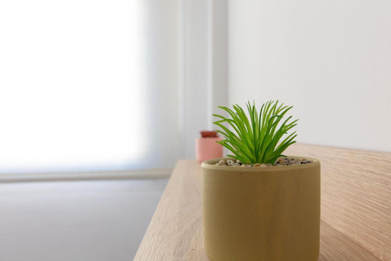 Global Properties, Planta Baja En Apartamento En Sagunto エクステリア 写真